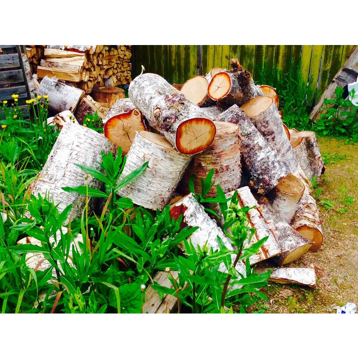 Березовые дрова чурками